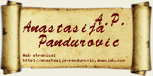 Anastasija Pandurović vizit kartica